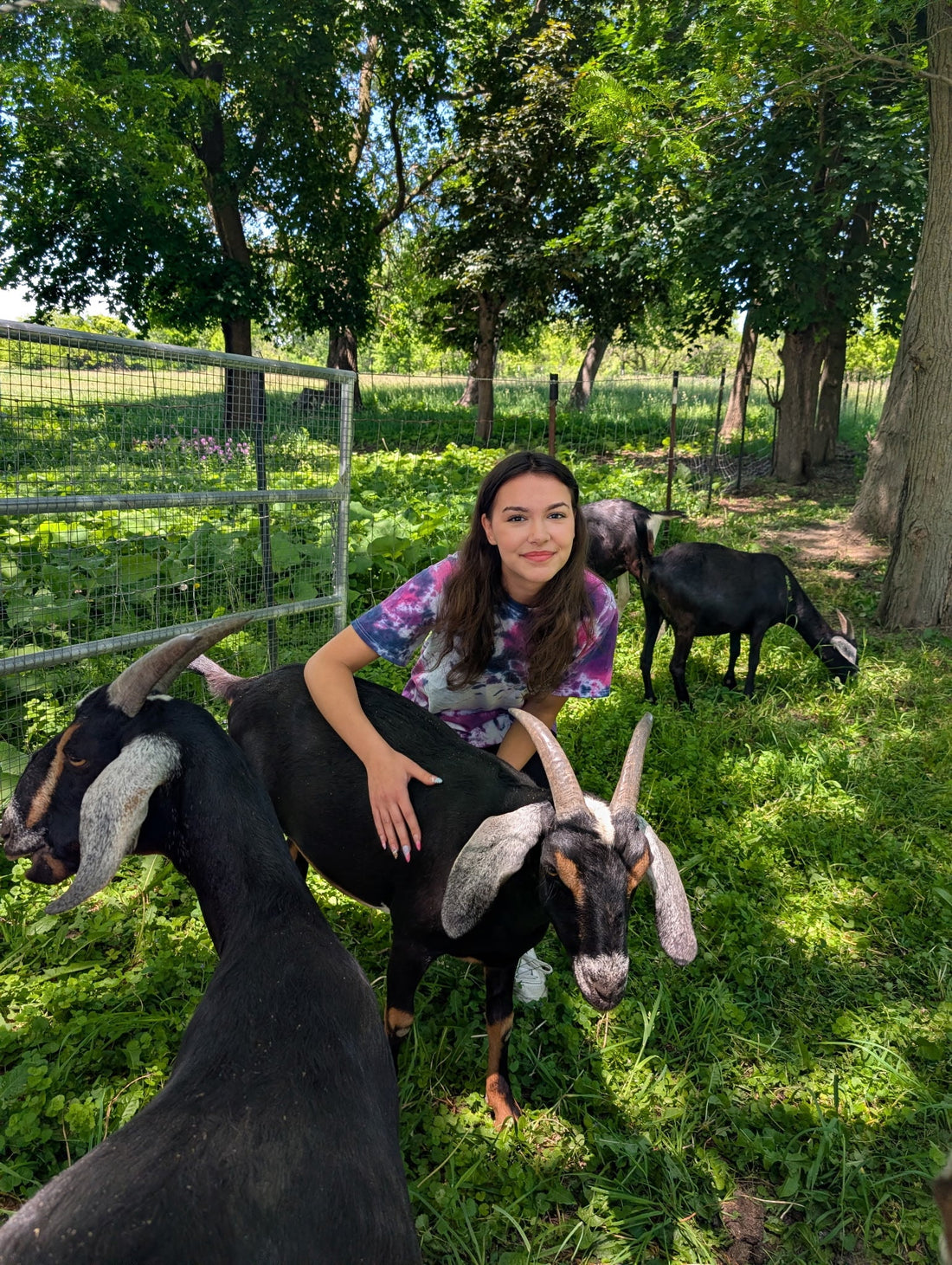 Gillian Gatewood, Summer Camp Counselor