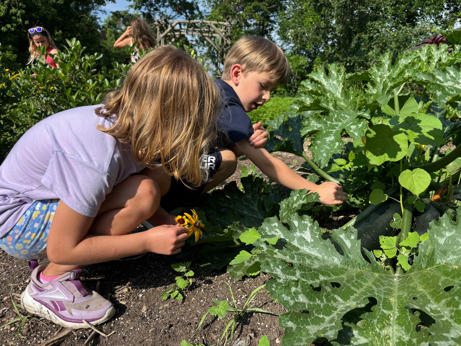 Liberty Prairie photo 6