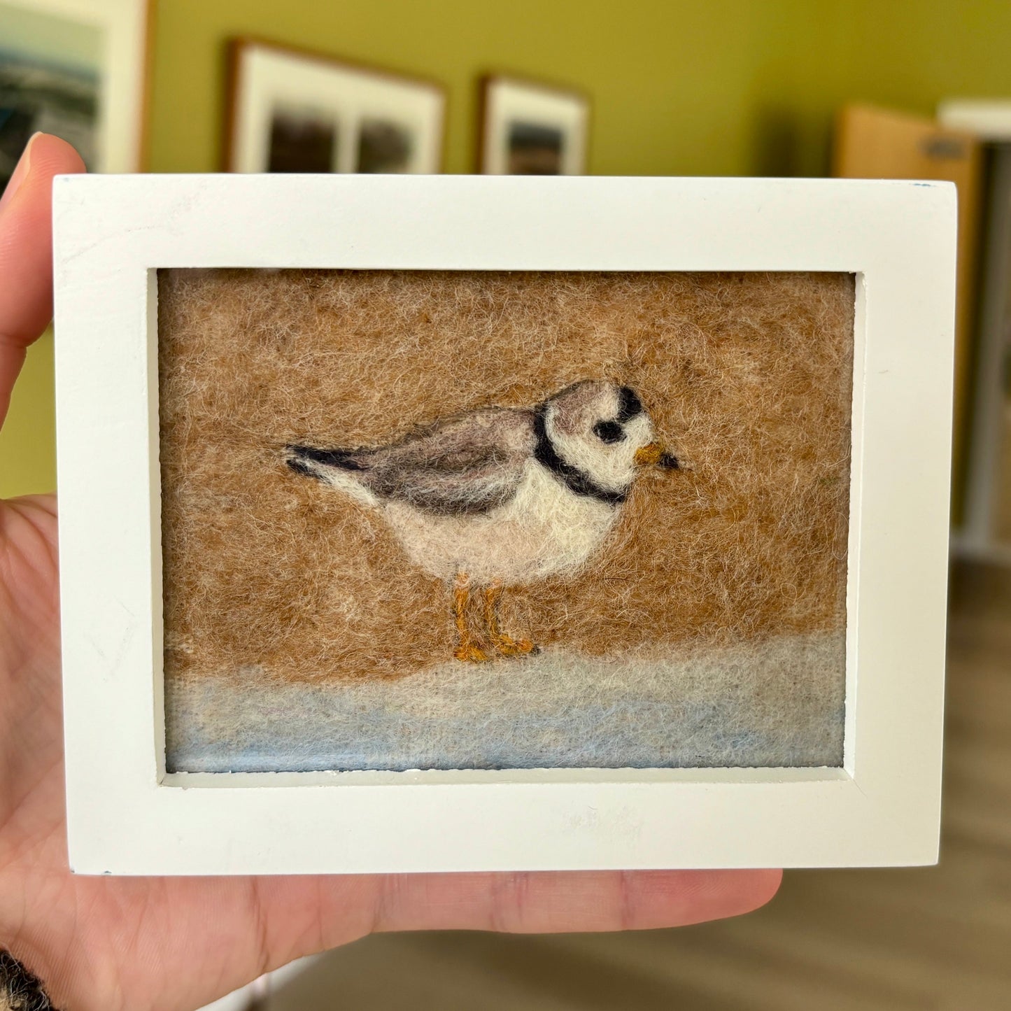 Piping Plover Felting Workshop | May 20