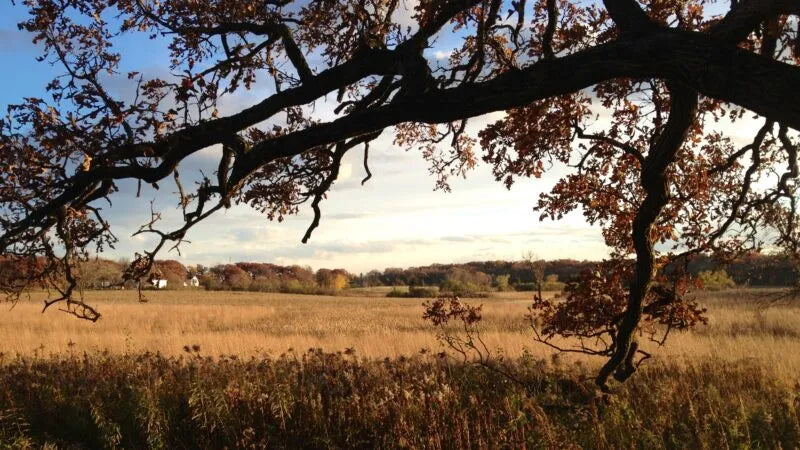 Liberty Prairie photo 18