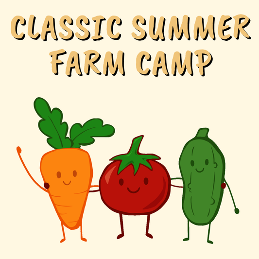 Classic Summer Farm Camp