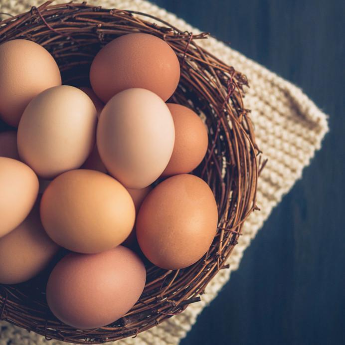 Summer & Fall Egg Package (2026)