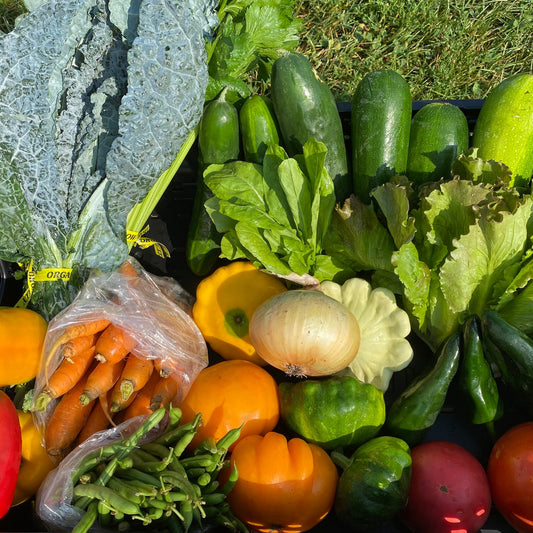 Summer Vegetables (2026)