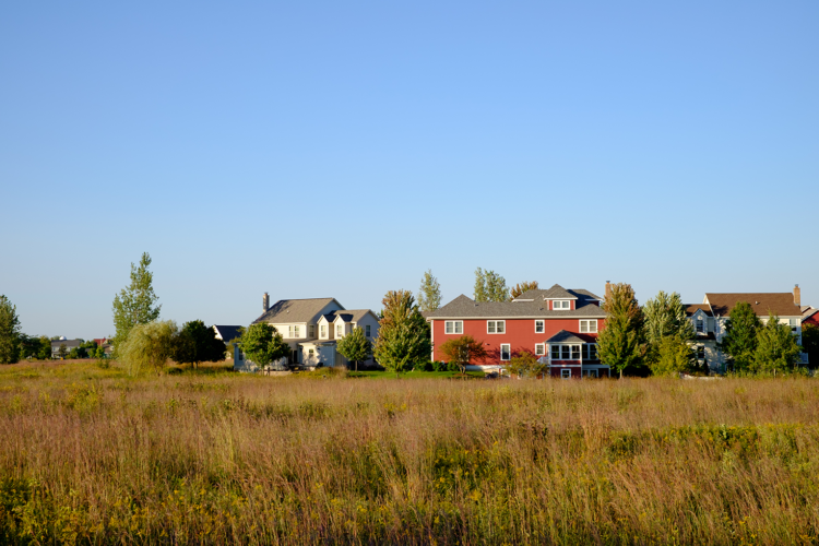 Small group of houses in the center of a grassy field